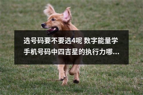 选号码要不要选4呢 数字能量学手机号码中四吉星的执行力哪家强