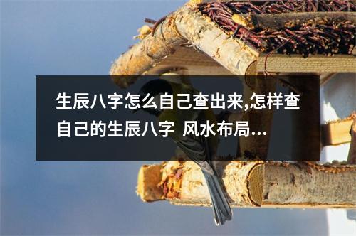 生辰八字怎么自己查出来,怎样查自己的生辰八字  风水布局软件